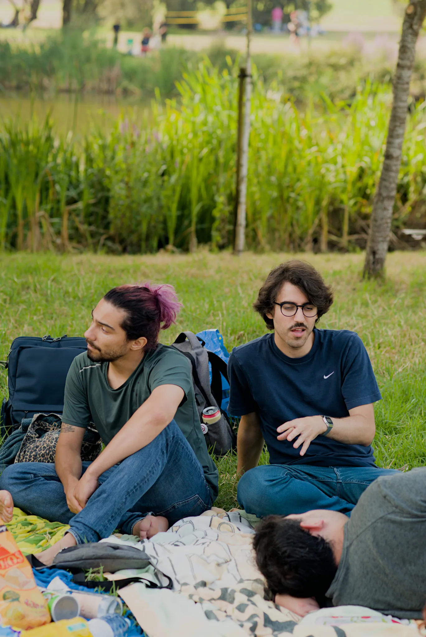 Picnic Não-Mono