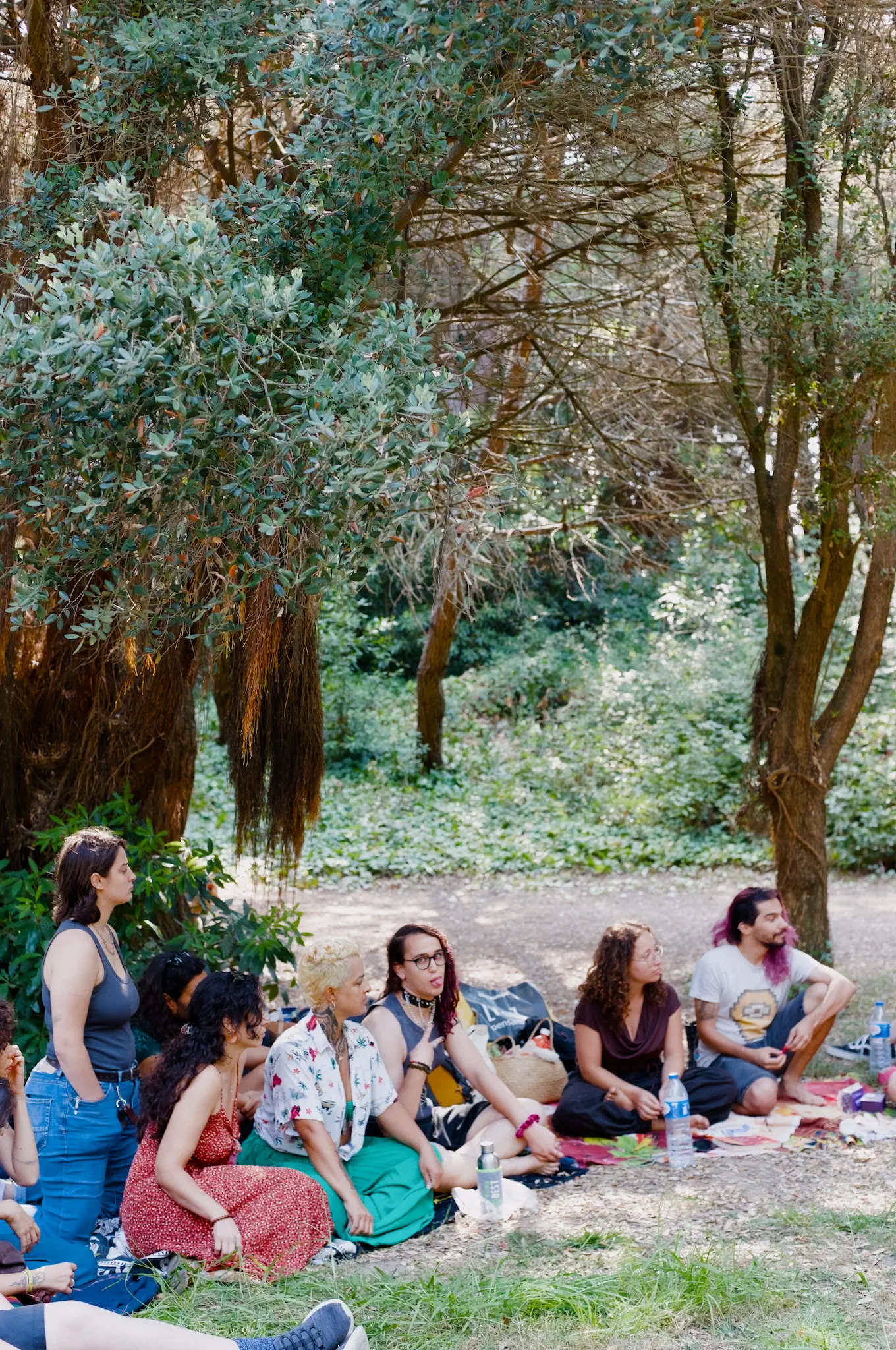 Picnic PNM