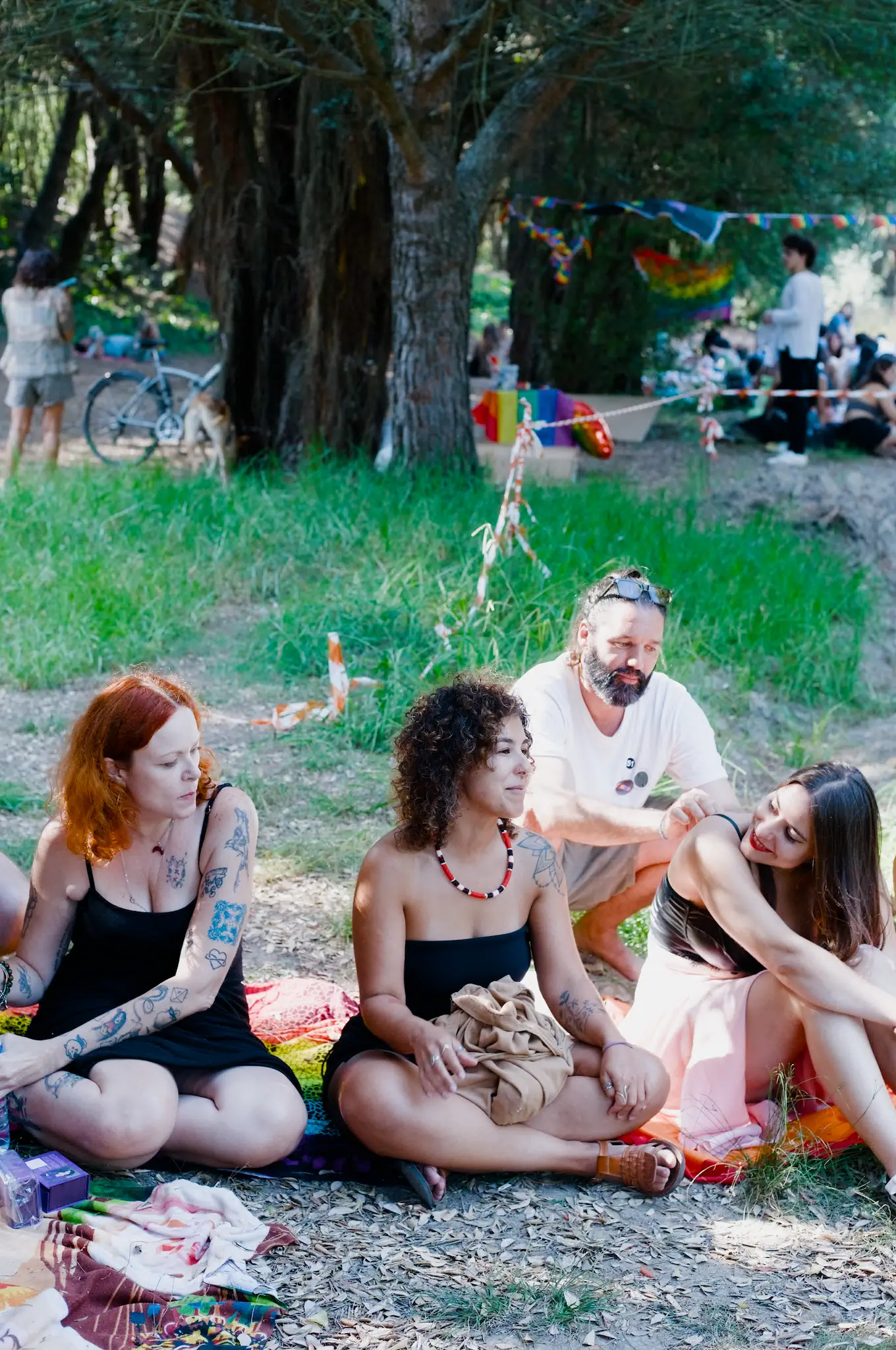 Picnic PNM